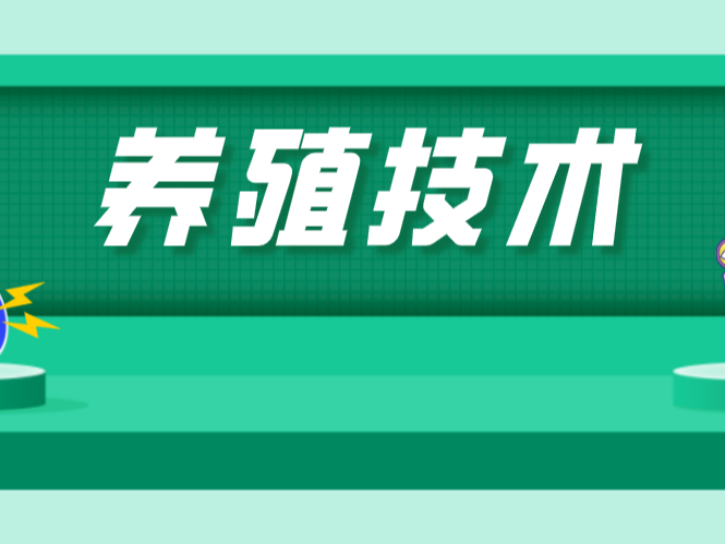 如何給“紅”臉的池塘和“花”臉的池塘做美容？