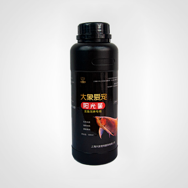 龍魚(yú)-陽(yáng)光菌（500ml）