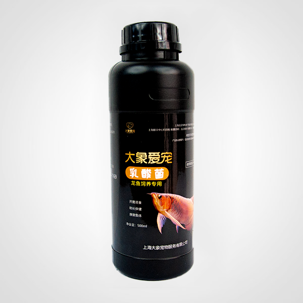 龍魚(yú)-乳酸菌（500ml）