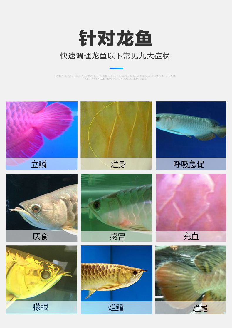 龍魚(yú)調(diào)理劑