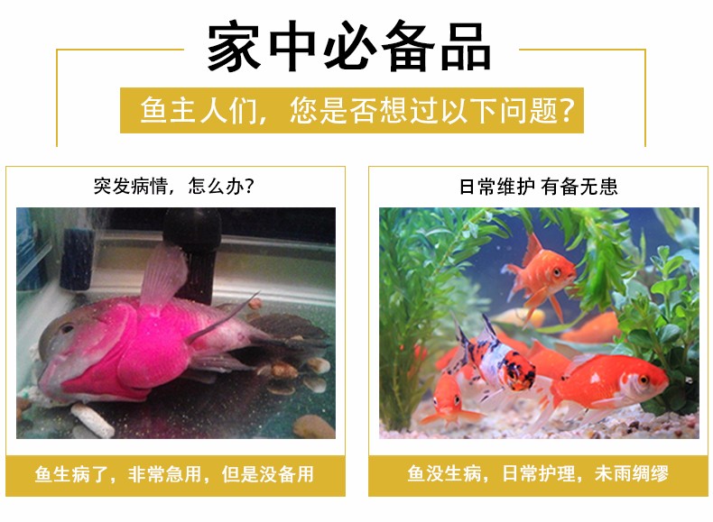 觀賞魚病治療