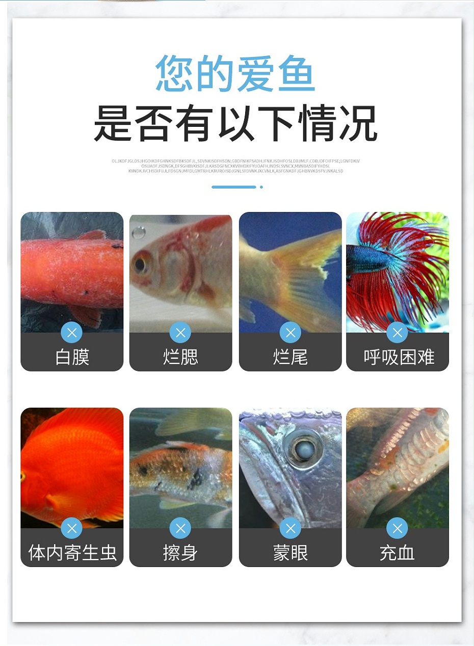 預(yù)防改善魚病