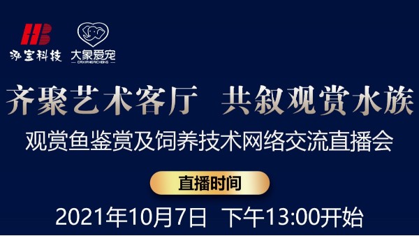 【10.7直播預(yù)告】齊聚藝術(shù)客廳 共敘觀賞水族-網(wǎng)絡(luò)交流直播會